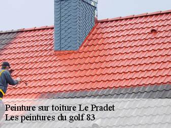 Peinture sur toiture le-pradet-83220 Les peintures du golf 83