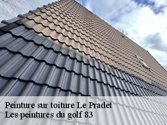 Peinture sur toiture 83220