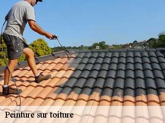 Peinture sur toiture 83220