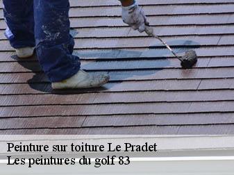 Peinture sur toiture