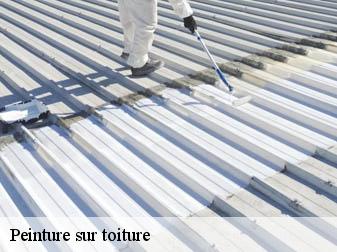 Peinture sur toiture