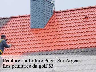 Peinture sur toiture puget-sur-argens-83480 Les peintures du golf 83