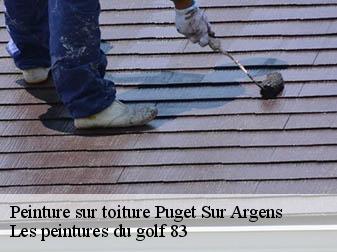 Peinture sur toiture