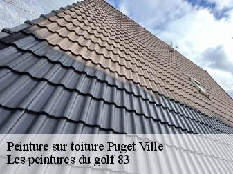 Peinture sur toiture  83390