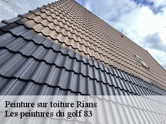 Peinture sur toiture 83560