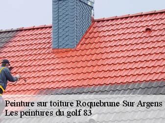 Peinture sur toiture  roquebrune-sur-argens-83520 Les peintures du golf 83
