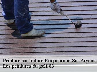Peinture sur toiture