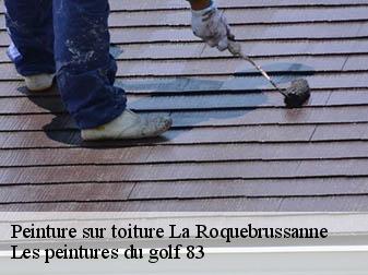 Peinture sur toiture