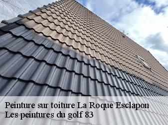 Peinture sur toiture  83840