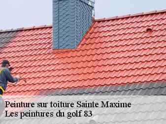 Peinture sur toiture sainte-maxime-83120 Les peintures du golf 83