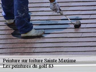 Peinture sur toiture