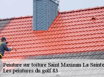 Peinture sur toiture saint-maximin-la-sainte-baume-83470 Les peintures du golf 83