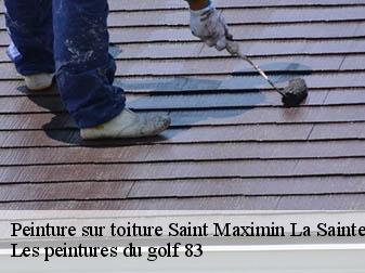Peinture sur toiture
