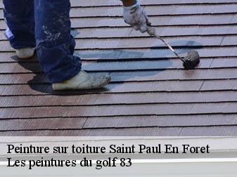 Peinture sur toiture