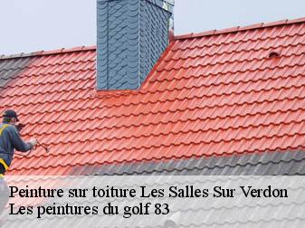 Peinture sur toiture les-salles-sur-verdon-83630 Les peintures du golf 83