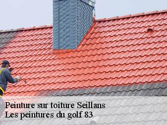 Peinture sur toiture  seillans-83440 Les peintures du golf 83