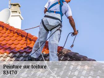 Peinture sur toiture 83470