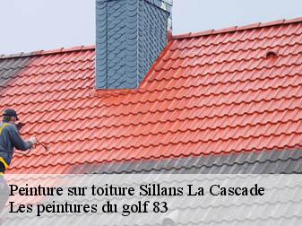 Peinture sur toiture sillans-la-cascade-83690 Les peintures du golf 83