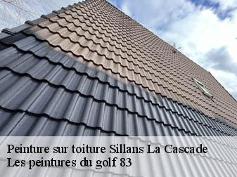 Peinture sur toiture 83690