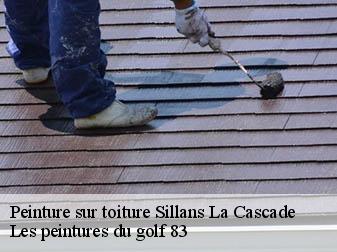 Peinture sur toiture