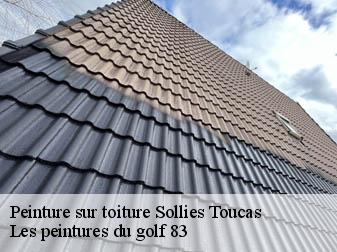 Peinture sur toiture  83210