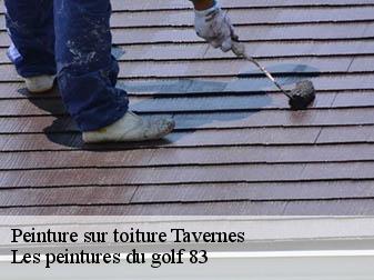 Peinture sur toiture