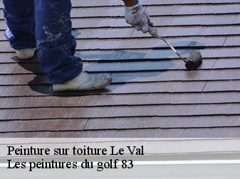 Peinture sur toiture