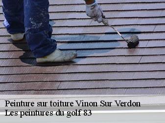 Peinture sur toiture