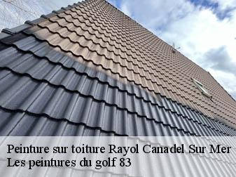 Peinture sur toiture  83820