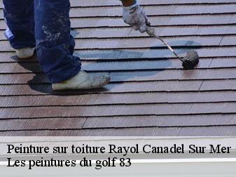 Peinture sur toiture
