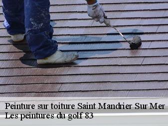 Peinture sur toiture