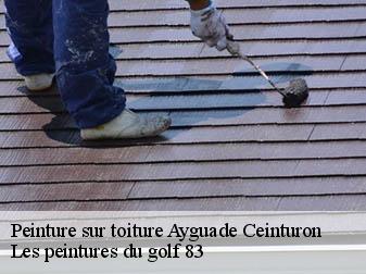 Peinture sur toiture