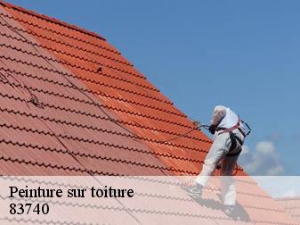Peinture sur toiture 83740
