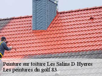 Peinture sur toiture  les-salins-d-hyeres-83400 Les peintures du golf 83