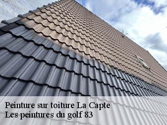 Peinture sur toiture 83400