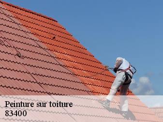 Peinture sur toiture 83400