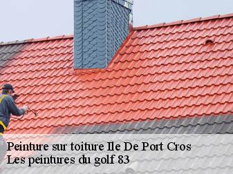 Peinture sur toiture  ile-de-port-cros-83400 Les peintures du golf 83