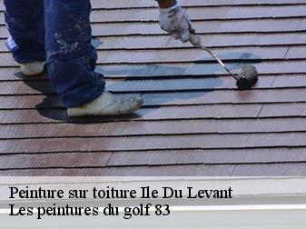 Peinture sur toiture