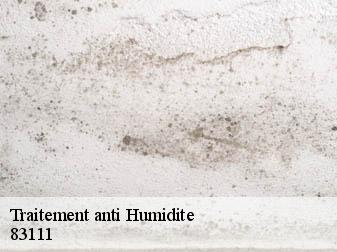 Traitement anti Humidite   83111