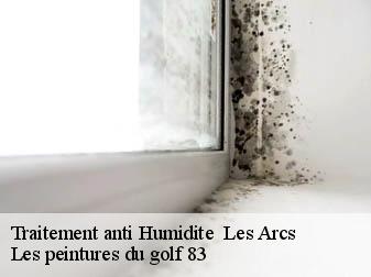 Traitement anti Humidite les-arcs-83460 Les peintures du golf 83