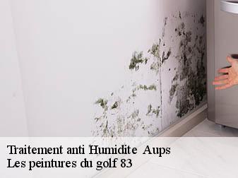 Traitement anti Humidite
