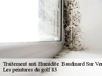 Traitement anti Humidite baudinard-sur-verdon-83630 Les peintures du golf 83