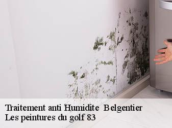Traitement anti Humidite