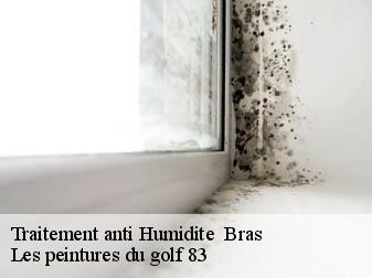 Traitement anti Humidite   bras-83149 Les peintures du golf 83