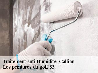 Traitement anti Humidite 83440