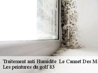 Traitement anti Humidite le-cannet-des-maures-83340 Les peintures du golf 83