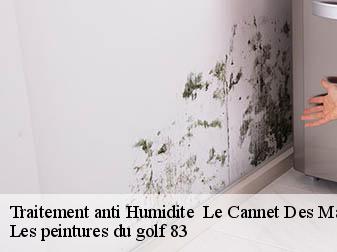 Traitement anti Humidite