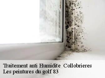 Traitement anti Humidite collobrieres-83610 Les peintures du golf 83