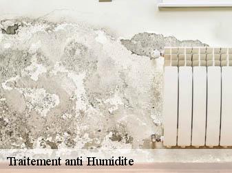 Traitement anti Humidite