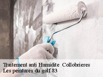Traitement anti Humidite 83610